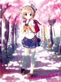 Four-leaf Clover
