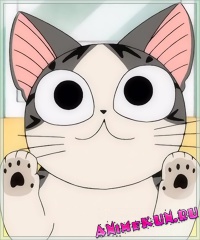 Chi's Sweet Home