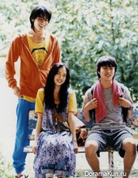 Honey And Clover