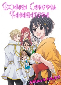 Войны Сакуры: Канадегуми - Экстраваганза / Sakura Taisen: Kanadegumi