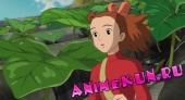 Ариэтти из страны лилипутов / Добывайка Ариэтти / The Secret World of Arrietty / Karigurashi no Arrietty