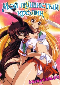 Мой пушистый кролик / Usagi-chan de Cue!!