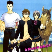 Аниме Gin no Saji ~Silver Spoon~