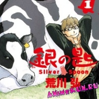 Silver Spoon