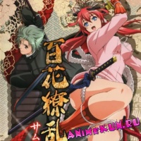Hyakka Ryouran: Samurai Girls