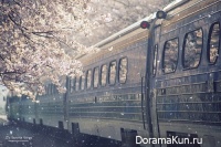 япония