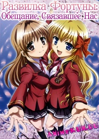 Fortune Arterial