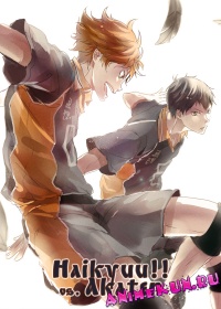 Haikyuu!! vs. Akaten