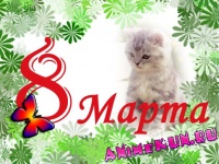 8 Марта 2011