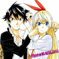Синбо берется за Nisekoi