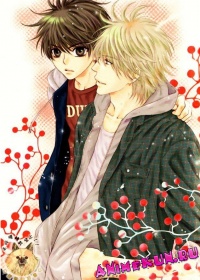 Больше, чем возлюбленные 2 / Super Lovers 2