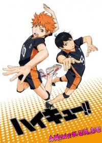Волейбол / Haikyuu!!