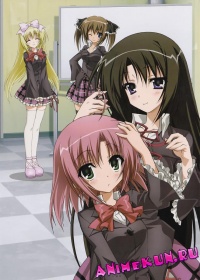 Seitokai no Ichizon OVA