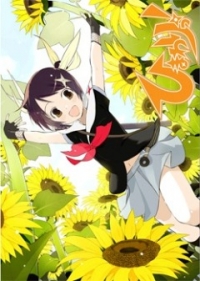 Sunflower!