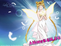 Bishoujo Senshi Sailor Moon (Hashimoto Ushio - Princess Moon)
