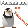 ПингвинЫ_КуряТ™