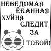 Кита-тян